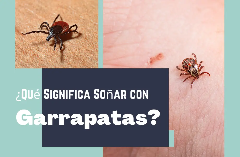 Qué Significa Soñar con Garrapatas SerFeliz