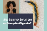 Soñar con un Ciempiés Gigante: Interpretaciones y simbolismo