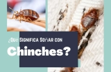 ¿Qué Significa Soñar con Chinches?
